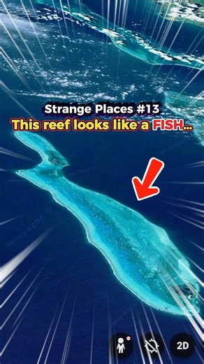 👉 This Reef Looks Like a Fish…