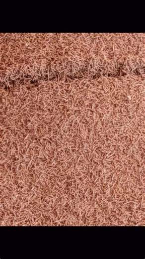 Secret squirrel workshop (@secret_squirrel_workshop)’s videos with original sound - Secret squirrel workshop