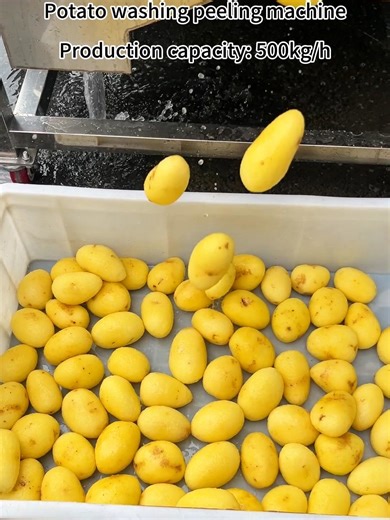 Potato washing peeling machine Carrot washing and peeling machine #potatopeeler #peeler #applepeeler #peelingmachine #foodprocessing