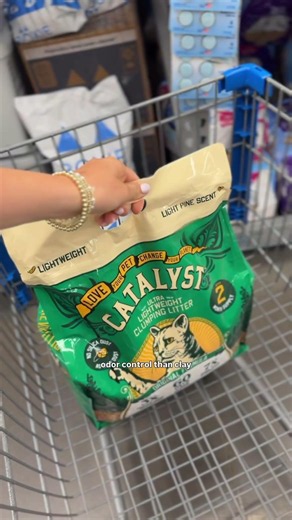 My Go-To Repeat Walmart Buy for the Cat
