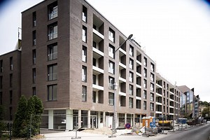 Kapás van a Vízivárosban