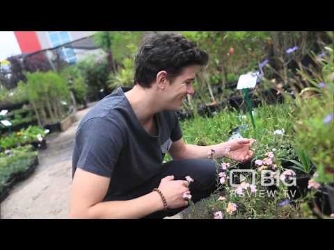 Hello Hello Plants and Garden Supplies in Campbellfield VIC offering Gardeners Supply and Design