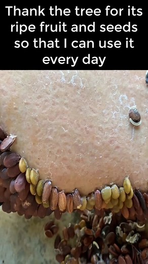 #toptick #ticks #bestvideo #vairal #fyp #horror