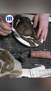 This fossil hunter is prepping a 200-year-old crab fossil! 🦀 | Daily Mail Video