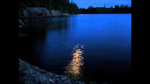 MOONLIGHT DANCING Lyrics - BETTE MIDLER | eLyrics.net