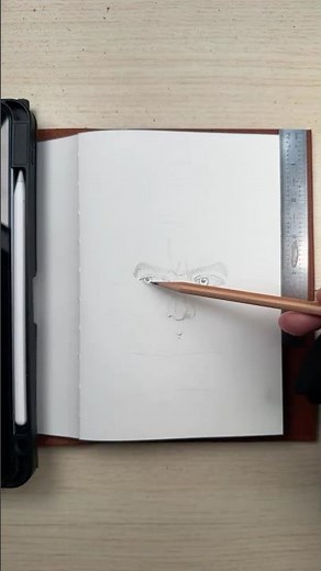 Tips for drawing faces : Live highlight