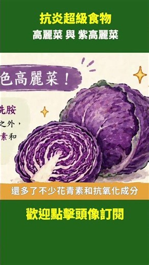 抗炎超級食物高麗菜與紫高麗菜｜ #健康新視界