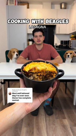 Hilarious Cooking Chaos with Beagle: Mini Lasagna Recipe!