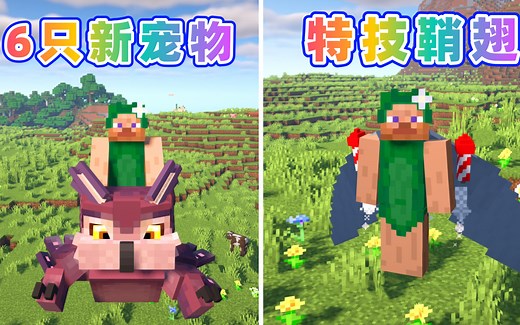 多只可骑行宠物 特技喷气鞘翅！10个有趣好玩的Mod分享~
