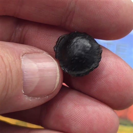 1.9K views · 49 reactions | Australite partial flanged button - 3.23g €500 + shipping | OuterSpacer Meteorites | Facebook