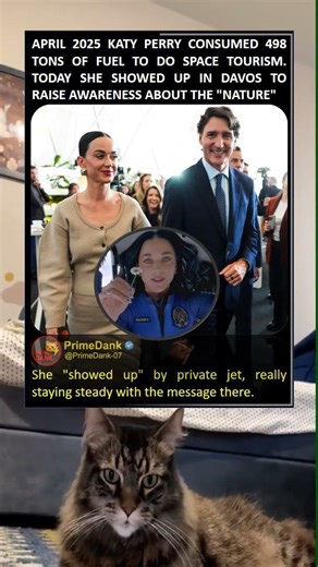 The math isn’t mathing for the environment ✈️🌍 #memes #shorts #celebrity