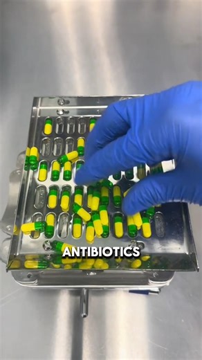 Watch Bacteria Evolve in Seconds