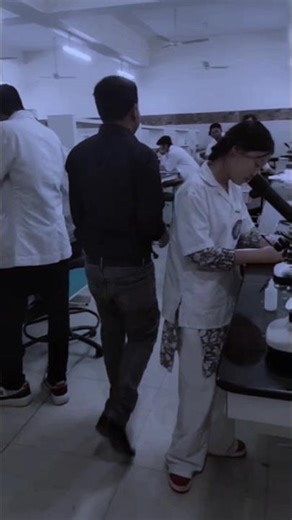 See lot of Blood cells under the microscope