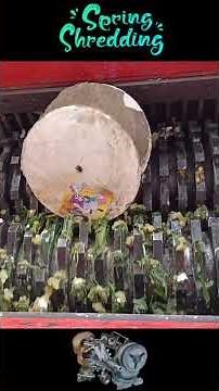 SATISFYING ASMR COMPILATION SHREDDING!