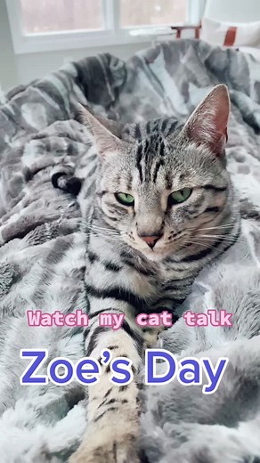 I Hope this makes you smile 😊 #cat #catsoftiktok #fyp #wholesome #HomeImprovement