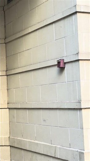Fire Alarm Activation #7