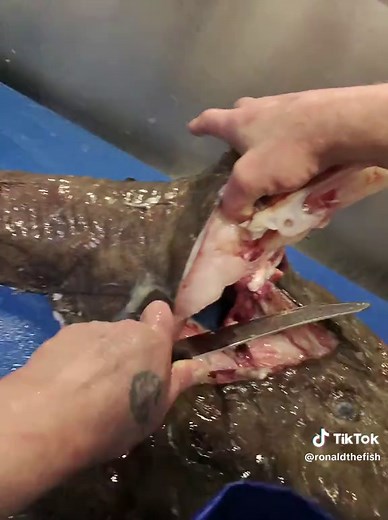 Preparing Monkfish: A Step-by-Step Guide