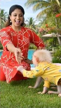 My Two Precious Gems...My Whole World💎❤️#shorts #monkeyvideo#monkey #monkeys#bibi #bobo#funnyanimals