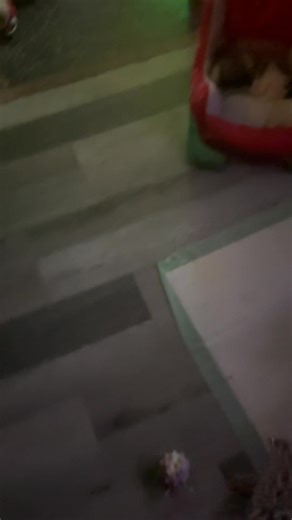 Jodi Yerkey on Reels