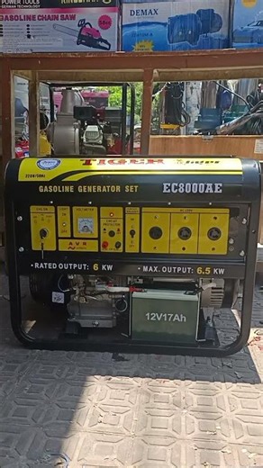 gasoline generator model 8000 brand tiger