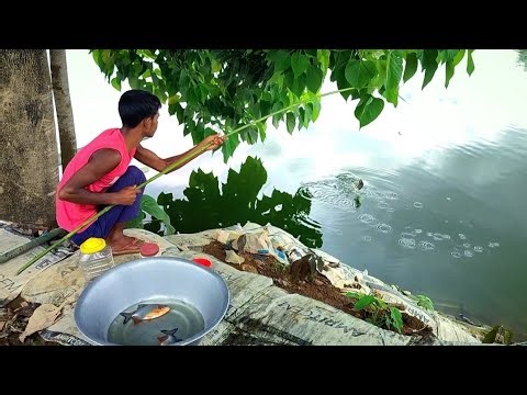 Traditional Village Fishing with Bamboo Rod 🎣 | Big Fish Catch in Pond | Amazing Fishing Video 2025