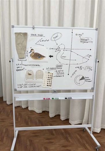 Understanding Girl Math: Concepts and Interpretations