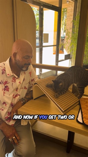 Jackson Galaxy on Instagram: "Scratching isn’t misbehavior. It’s a biological need. Cats scratch to stretch, mark territory, and keep those m*rder mittens sharp and healthy. 🐾 Introducing the Scratchify! Incline Scratcher, the scratching throne your cat deserves. Think: durable, good-looking, and actually designed around cat behavior. WEDNESDAY ONLY: Buy 2 or more ➡️ FREE shipping (Limit 3 per order because cats would order 30 if we let them.) Check it out via the link in bio! If your cat had t