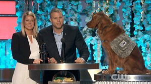 53K views · 616 reactions | The World Dog Awards may win the award for the best awards show ever. | Yahoo | Facebook