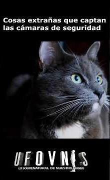 Top 5 Strange and Unexplained Events Captured by Security Cameras #ghosts #terrifying