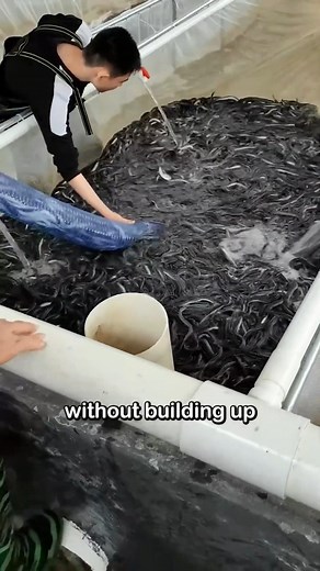 6.8K views · 25 reactions | Scissors Crafted with Metal Injection Molding ✂️⚙️ Precision You Can Feel #EngineeringTech #Craftsmanship | Seethee | Facebook