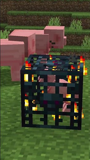 😱The SECRET of the PIG SPAWN revealed #mcpe #minecraft #addons #minecraftlive #minecraftlive2025