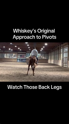 Tricks of the Trade: Horse Pivoting Secrets