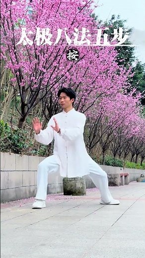 Master Tai Chi in 8 Easy Moves: Follow Along and Like