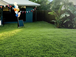 Spring Lawn Care Guide | Lawn Tips | myhomeTURF