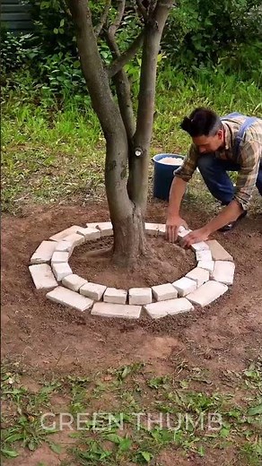 Garden Therapy: Cultivating Mindfulness and Calm 🌱