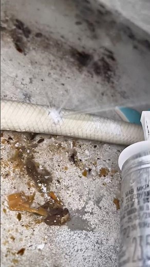 🚨🐀 Emergency Dishwasher Leak Repair!