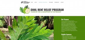 Hundreds on Hawaiian Home Lands waitlist sign up for rent relief