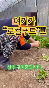 여기가 로컬푸드❗️상추구매하고있어요! #순천 #송광면 #평촌마을 #상추 #로컬푸드