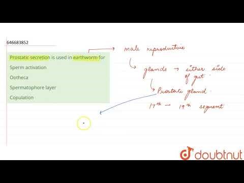 Prostatic secretion is used in earthworm for | 12 | EARTHWORM & COCKROACH | BIOLOGY | ALLEN | Do...
