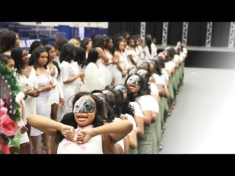 GSU | Eta Mu Chapter of Alpha Kappa Alpha Sorority Inc. Neophyte Presentation 2019 HD
