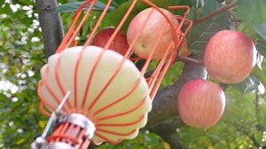 WaLensee 96 in. Stainless Steel Handle Fruit Picker FP-002