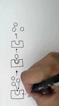 Enzymes & the Lock and Key Theory Explained! 🧬✨