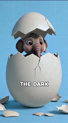 Smallest to biggest egg | Egg size comparison