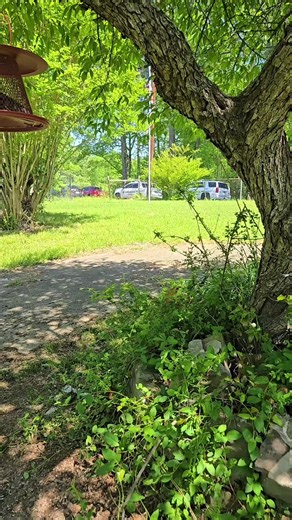 Explore McCalla, Alabama: A Hidden Gem