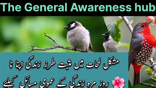 7 Basic Principles For Daily Life Problems | How To Be Calm During Difficult Situations | Be Strong - video Dailymotion