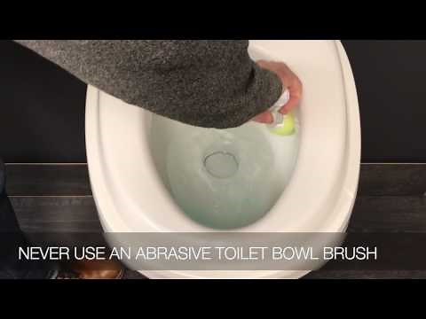 Cleaning Your RV Toilet Bowl While Treating your Black Water Holding Tank