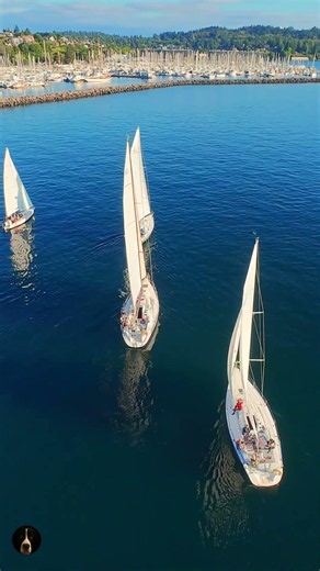 Why Are All These Sailboats Suddenly Coming Out of Shilshole Bay?