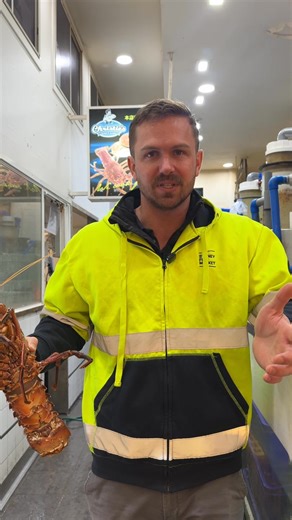 Sydney Fish Market welcomes the news that the information standard for Country-of-Origin Labelling (CoOL) for seafood in hospitality settings is now finalised and registered as legislation. While country-of-origin labelling has been mandatory for fresh seafood retailers for several years, these requirements will now also apply to hospitality and food service, helping consumers know exactly where their seafood comes from! | Sydney Fish Market