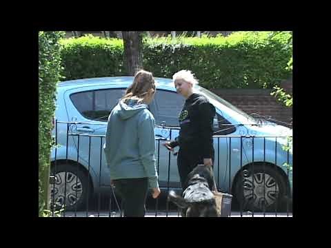 Playing About With The Classic Sony DSR-PD170 In 2020