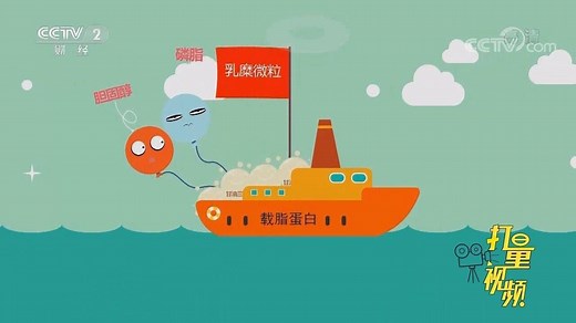 脂肪在人体里是如何消化和吸收的？一段动画形象演示